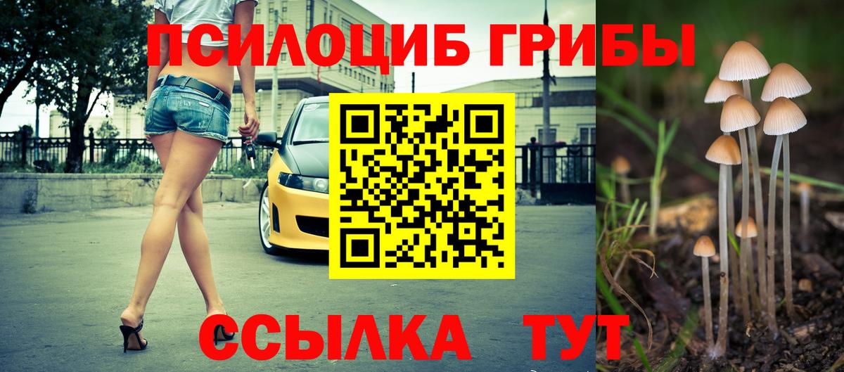 Псилоцибиновые грибы прущие грибы Вышний Волочёк