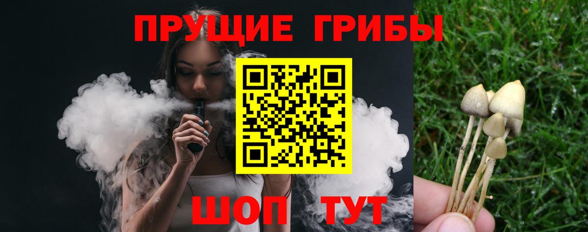 Псилоцибиновые грибы мицелий  Вход с VPN  Псилоцибиновые грибы мухоморы  Вышний Волочёк 